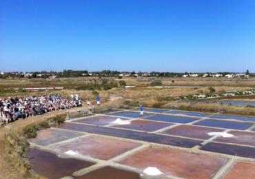 Les Salines