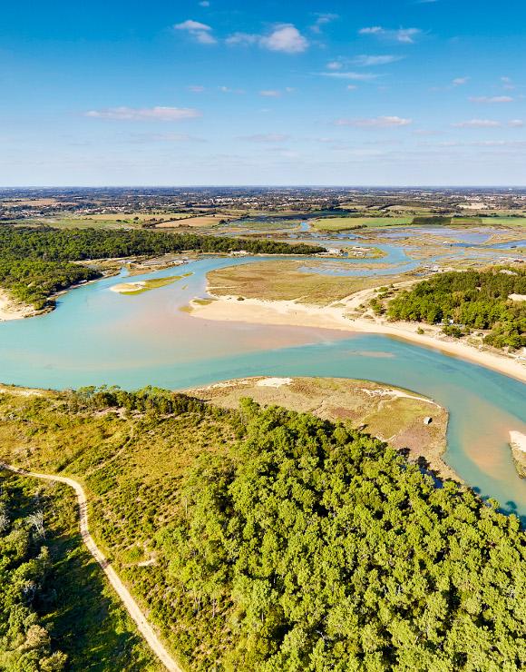 Estuaire du Payré