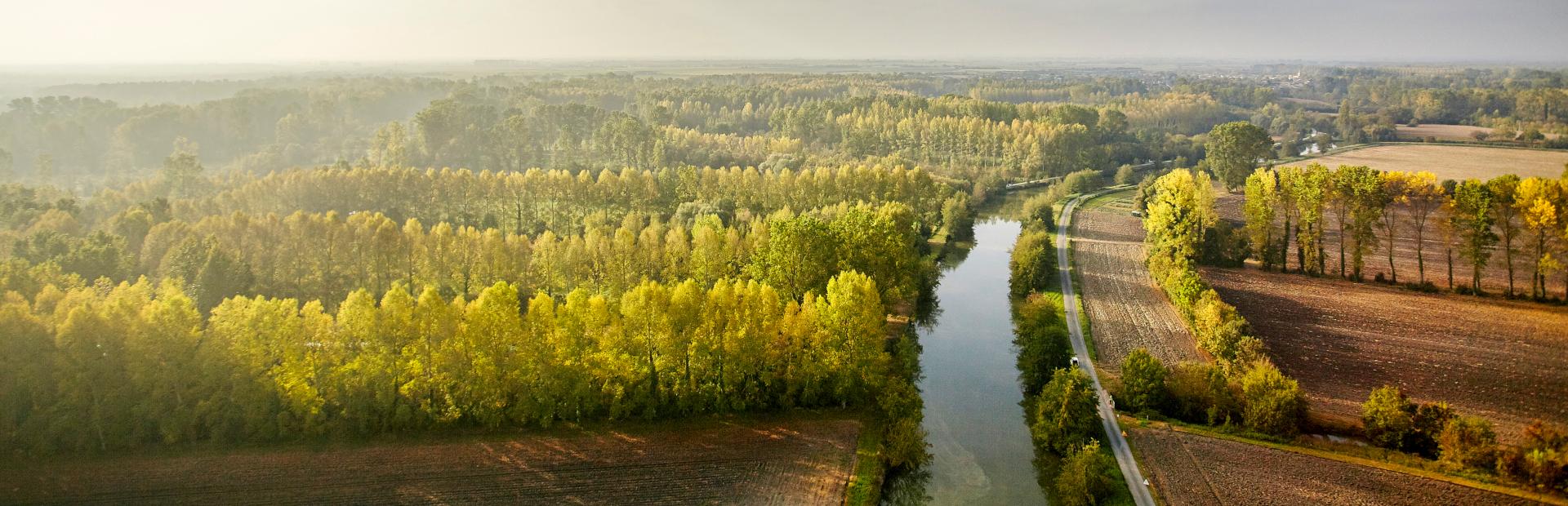 Vue aerienne du marais poitevin