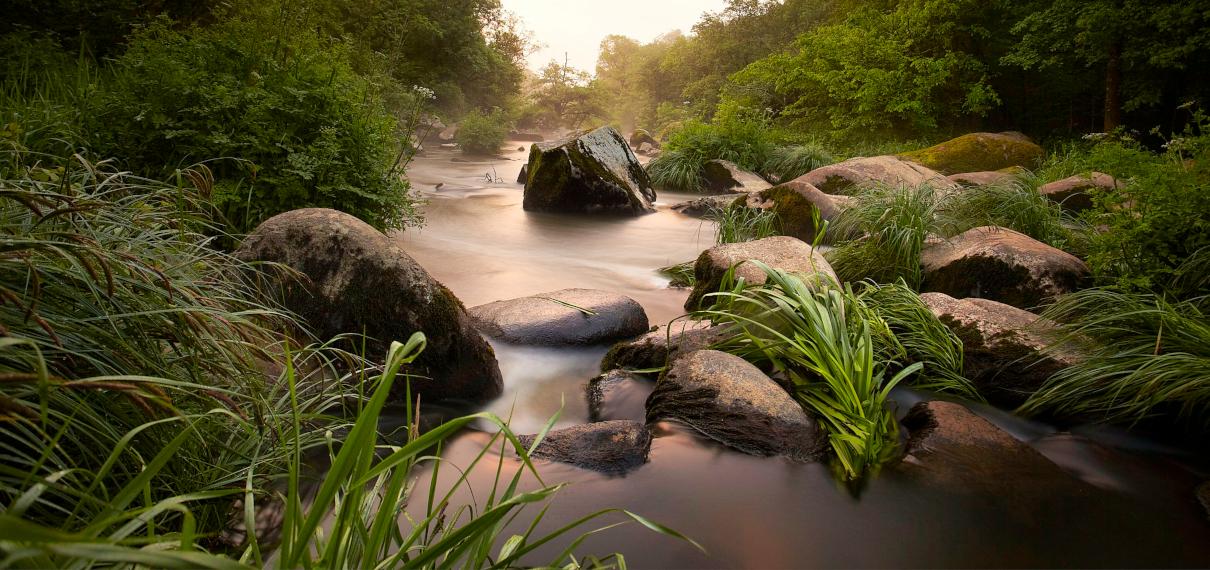 Bocage La Roche sur Yon
