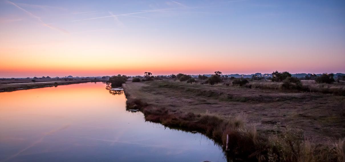 Marais de Saint Hilaire de Riez