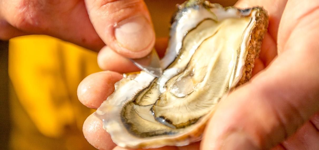 Produits de la mer produits de la mer sud vendée