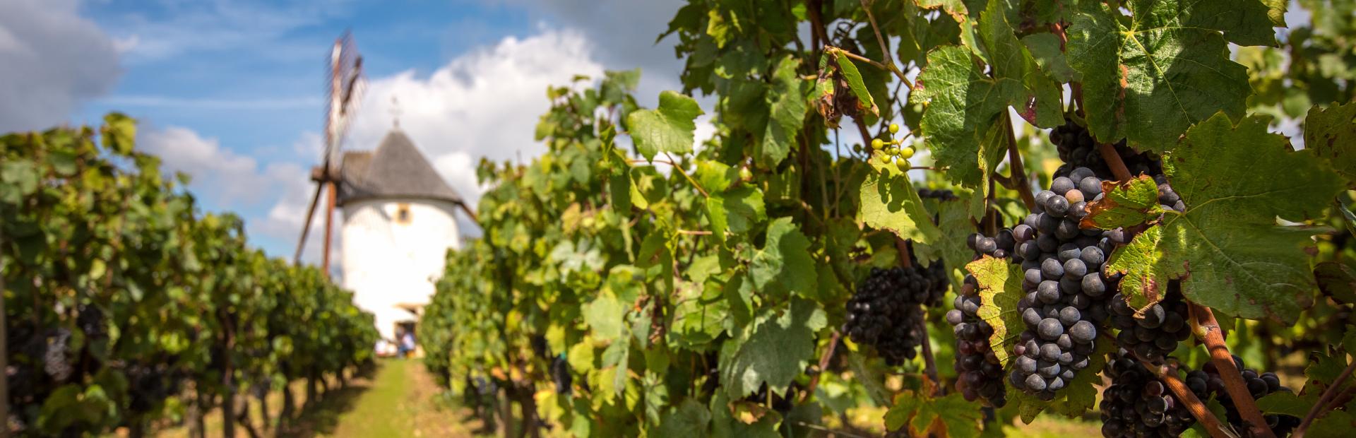 Domaine Mourat Domaine Mourat
