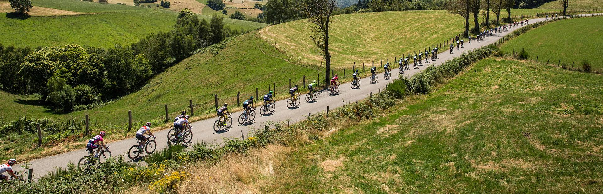 Peloton du Tour de France