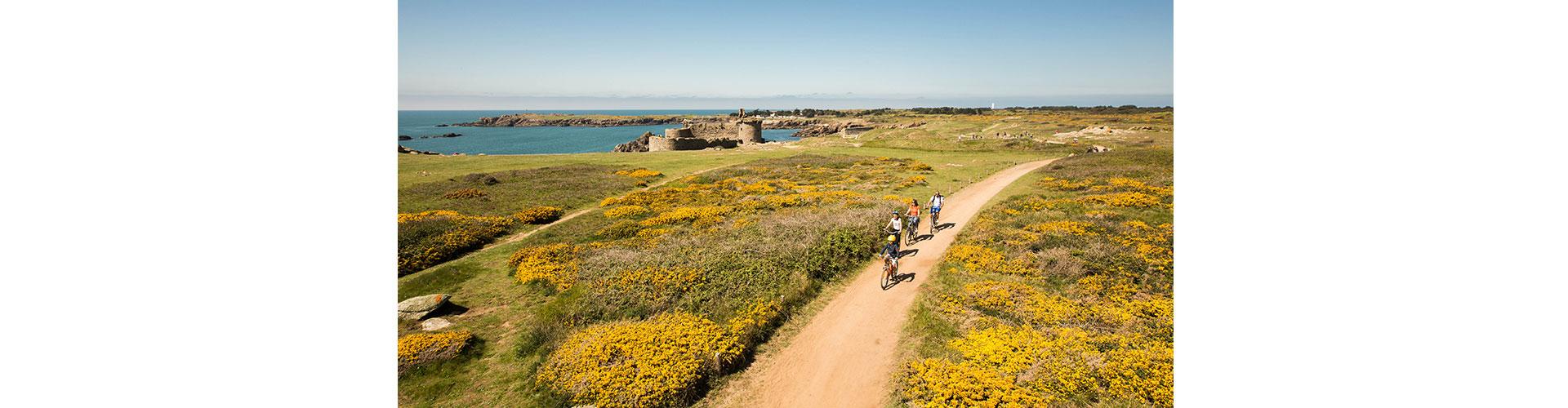 Vélo sur les pistes cyclables de l'Île d'Yeu