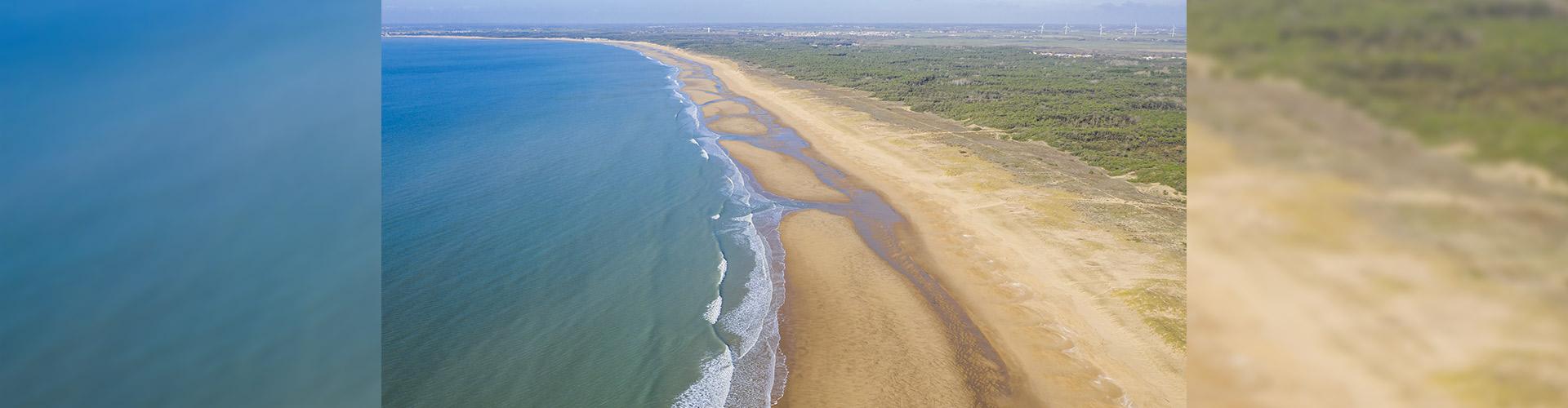 Vue Aerienne de la plage de la Tranche sur Mer