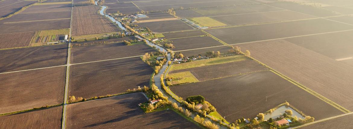 Vue aerienne du marais poitevin