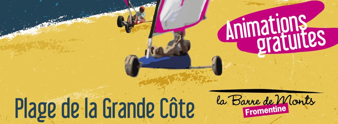 Affiche festival Natur'Ailes Affiche festival Natur'Ailes