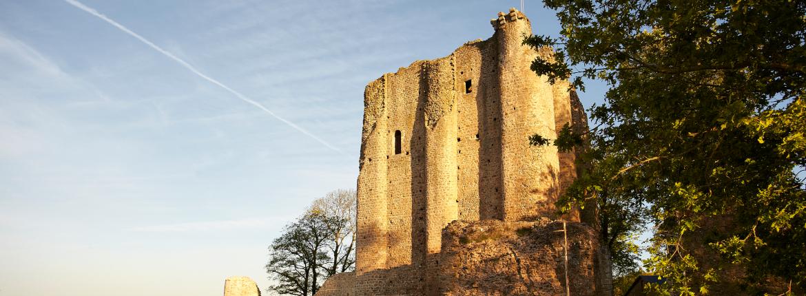 Château de Pouzauges