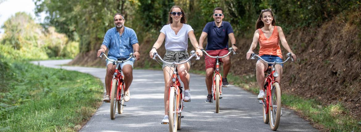 Vélo dans les vignes Domaine de Mourat