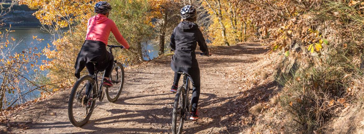 Vélo dans la foret de Mervent