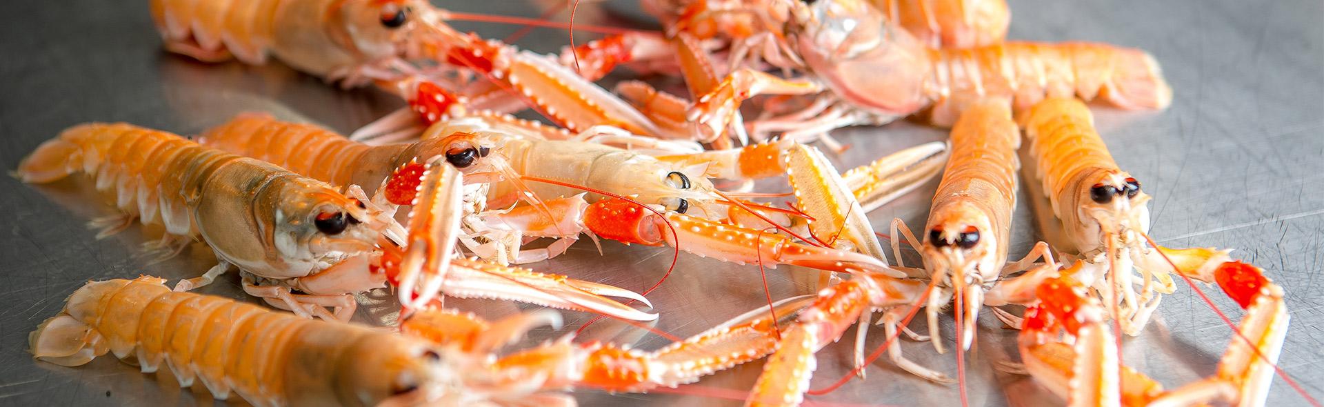 Crevettes au Restaurant La Marine à Noirmoutier