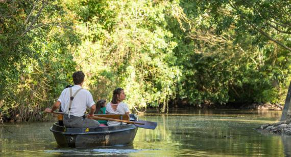 balade en barque dans le marais poitevin