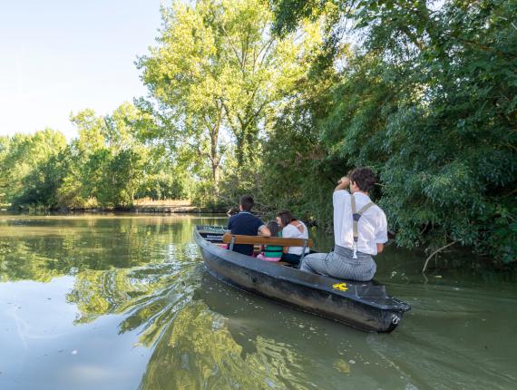 Balade en barque marais poitevin Maillezais