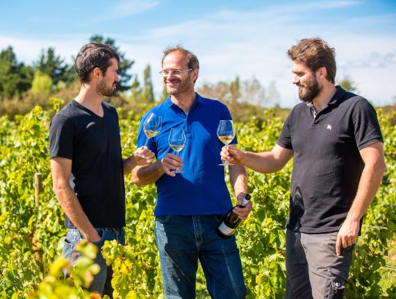 Domaine saint nicolas