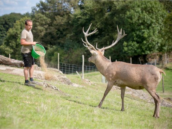 Ferme des couts avec un Cerf