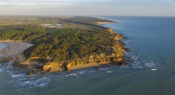 Photo aérienne de Jard sur Mer