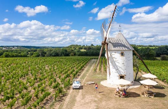 Les vignobles Mourat à Mareuil sur Lay Les vignobles Mourat à Mareuil sur Lay