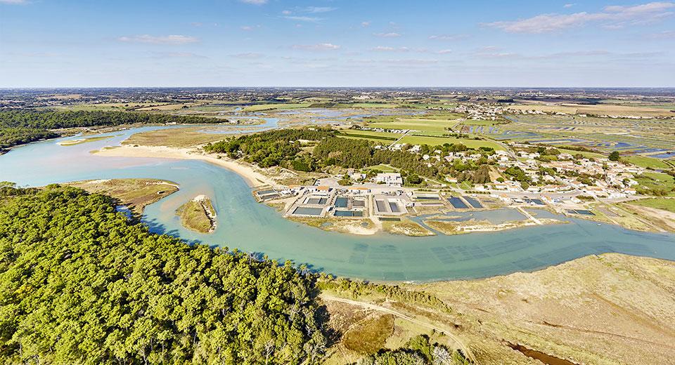 Aerienne des marais à Talmont Saint Hilaire Aerienne des marais à Talmont Saint Hilaire