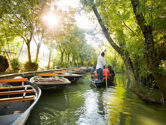 Ballade marais poitevin marais mouillé Ballade marais poitevin marais mouillé