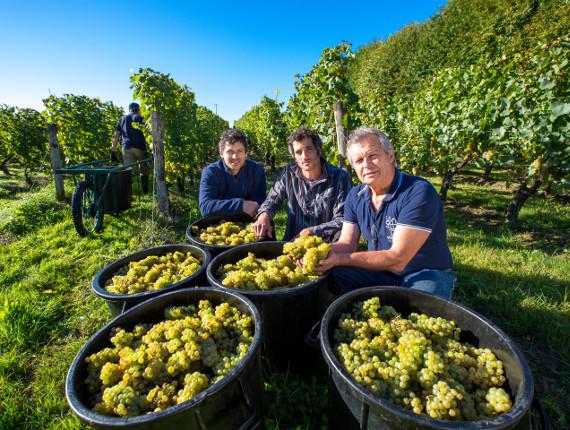 route des vins vendée vignoble fiefs vendéens