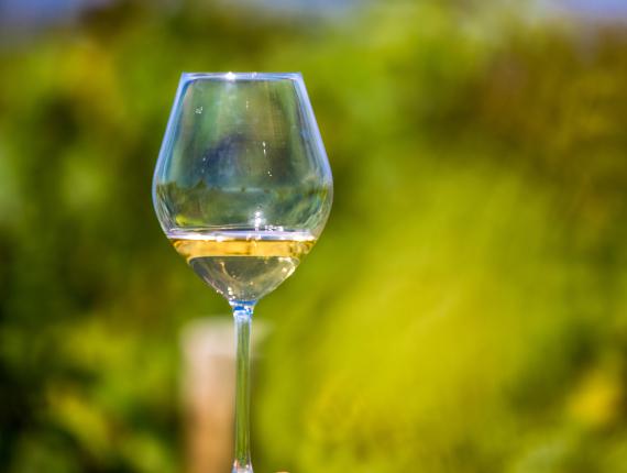 Domaine saint nicolas
