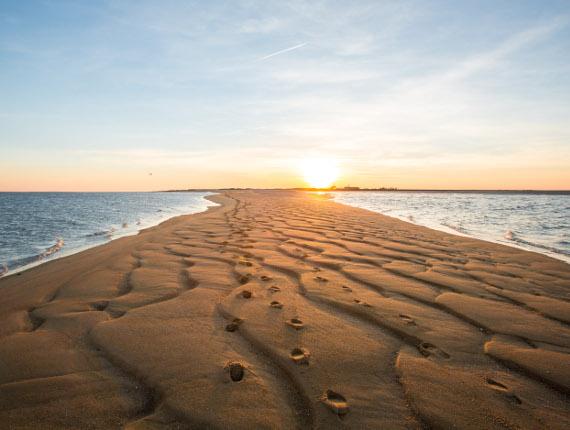 pointe de l'aiguillon réserve naturelle vendée