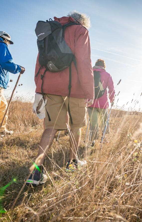 Marche à pied en Vendée