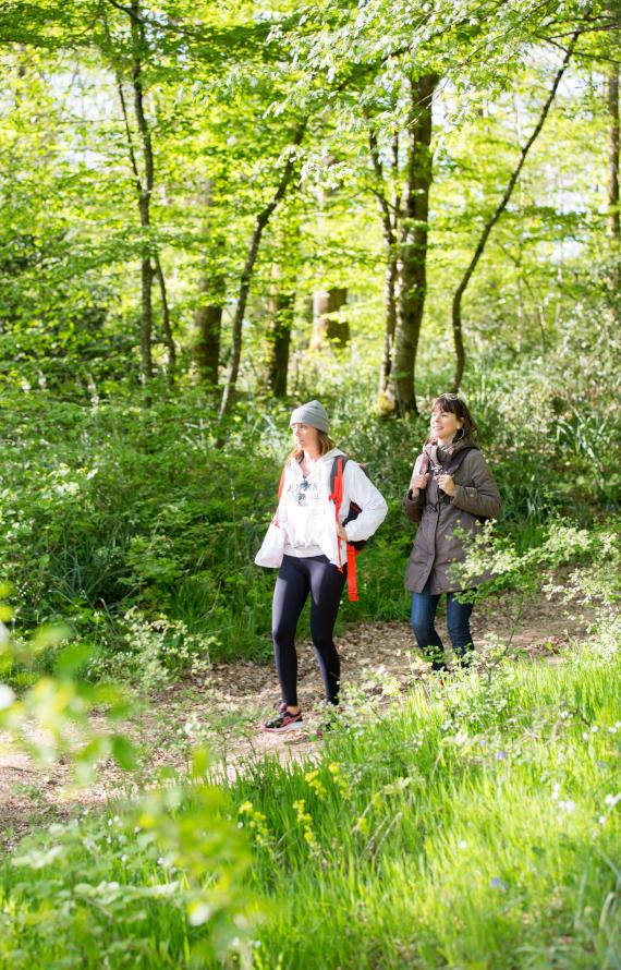 Randonnée Forêt Mervent Randonnée Forêt Mervent