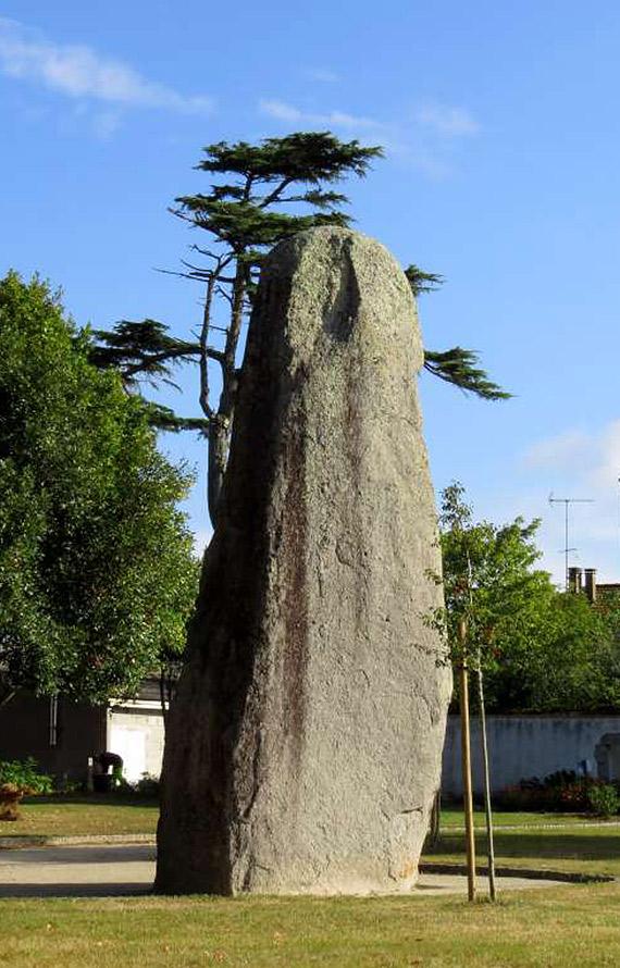 Roi menhir à Avrillé
