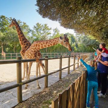 Zoo Les Sables