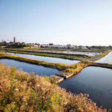 Les marais salants à Noirmoutier